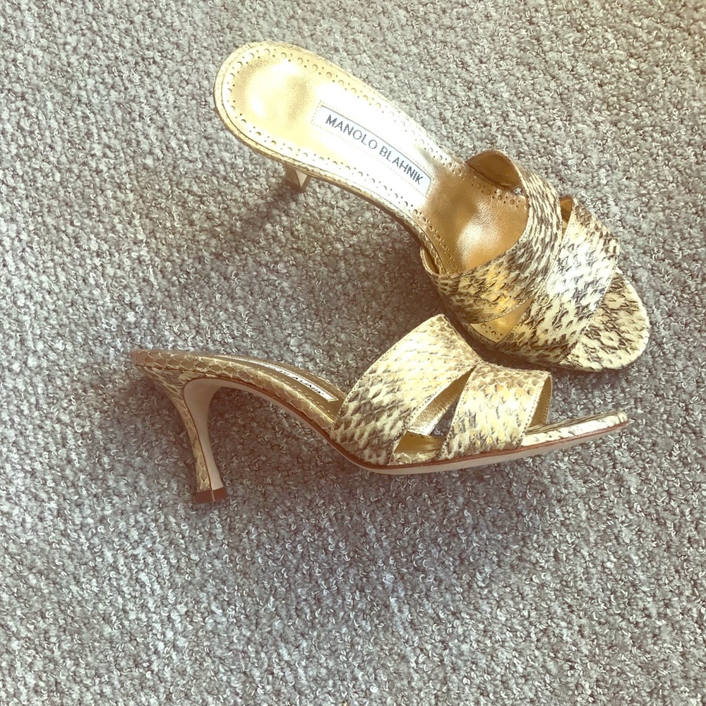 Snakeskin Manolo Blahnik Mules Size 36 NWT